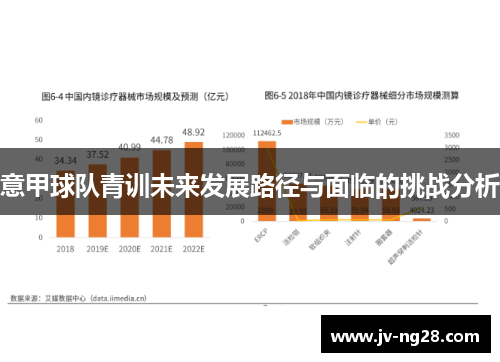 意甲球队青训未来发展路径与面临的挑战分析