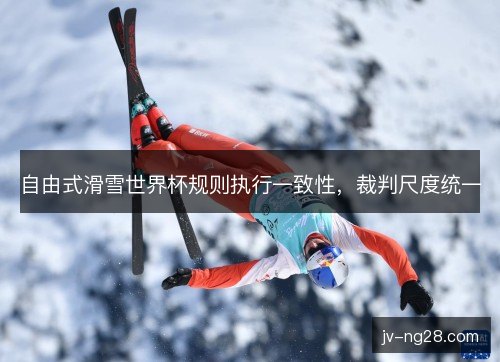 自由式滑雪世界杯规则执行一致性,裁判尺度统一 自由式滑雪世界杯规则执行一致性,裁判尺度统一